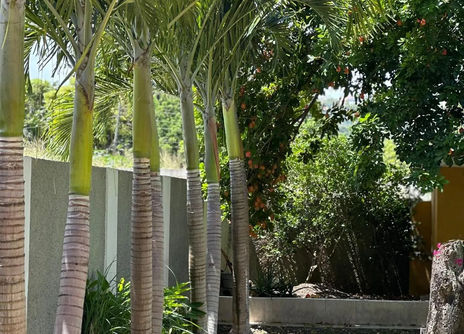 Evelyn Villa Tower Isle Jamaica